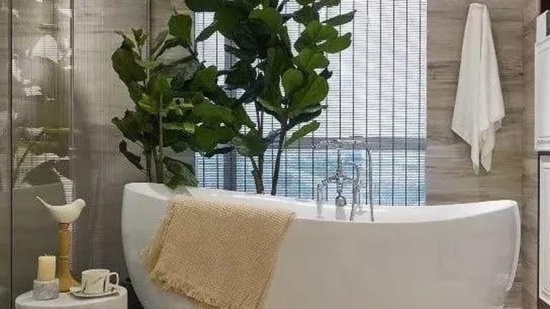 相较于线上购买，线下实体店选购智能马桶盖具有以下优势：